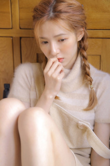 十二金鸭